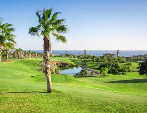 a palm tree on a golf course with a pond at Casa LuLu in San Miguel de Abona