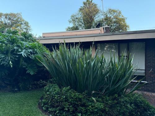 Zahrada ubytování Jardin Villa