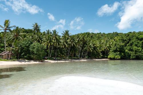 a beach with a bunch of palm trees and water at Poki Poki - Togian Islands in Bomba