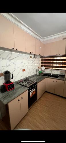 Η κουζίνα ή μικρή κουζίνα στο Canaan Apartment