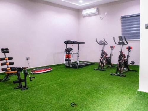 a gym with exercise bikes in a room with green carpet at Royal Dean Hotels & Suites in Mama