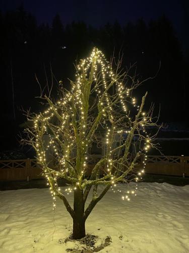 a tree with lights on it in the snow at Ferienwohnung Maier in Mittersill