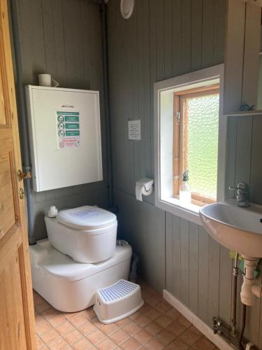 a bathroom with a toilet and a sink at STF Växhuset Hostel in Bodarne