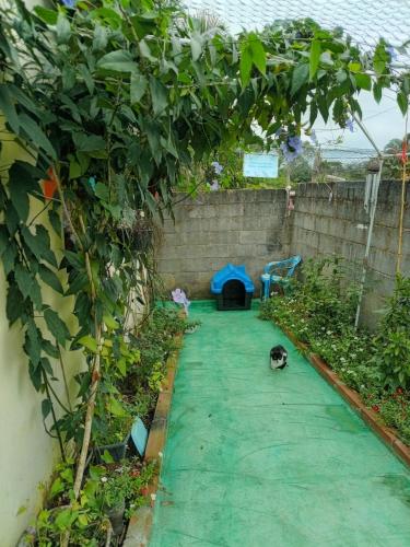 Κήπος έξω από το Recanto Beija-flor