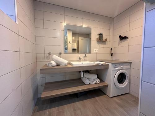 une salle de bain avec un lavabo et une machine à laver dans l'établissement Le Gîte Du Lavoir, à Courbouzon