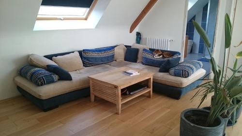 ein Wohnzimmer mit einer Couch, auf der eine Katze auf Kissen schläft. in der Unterkunft Chambre chez l'habitant in Crach