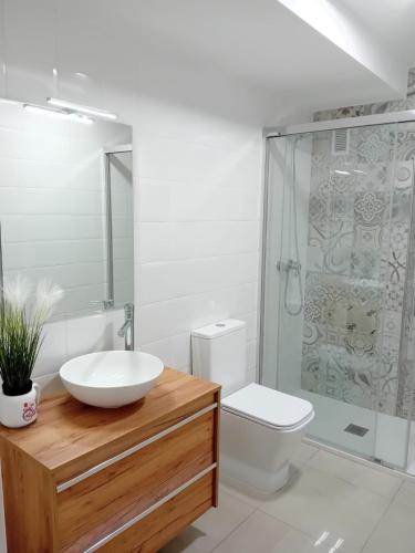 a bathroom with a sink and a toilet and a shower at El Rincon de Riera in Pola de Lena