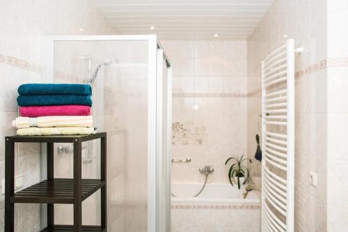 Et badeværelse på Ferienwohnung Oberförsterei Sosa I