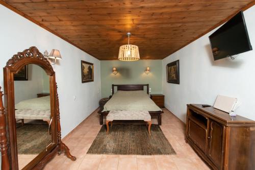 a bedroom with a bed and a mirror at Dandy Villas Tsagkarada-Sweet Green Apple-Mini Pool in Tsagarada