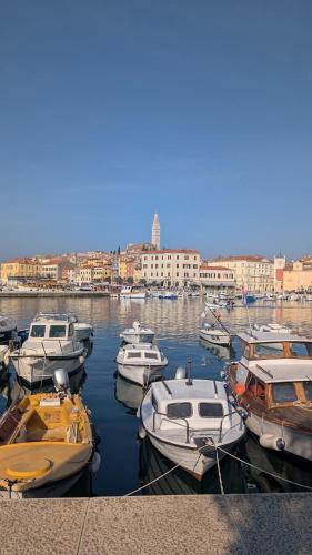 IstraNova Apartments