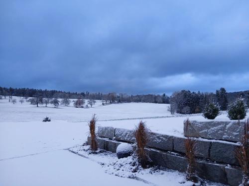 Το Ferienwohnung Waldlichtung τον χειμώνα