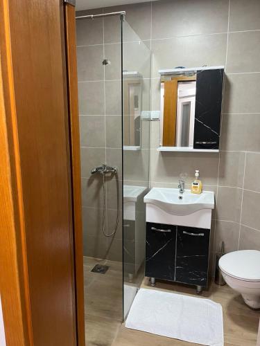 Un baño con ducha, lavabo e inodoro. en Center Budget Rooms, en Kladovo