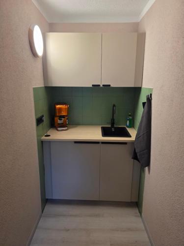 Una pequeña cocina con fregadero y encimera. en Appartment Zweierlei, en Zingst