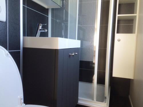 W łazience znajduje się umywalka i prysznic. w obiekcie Chalet Zilt Ameland w mieście Hollum