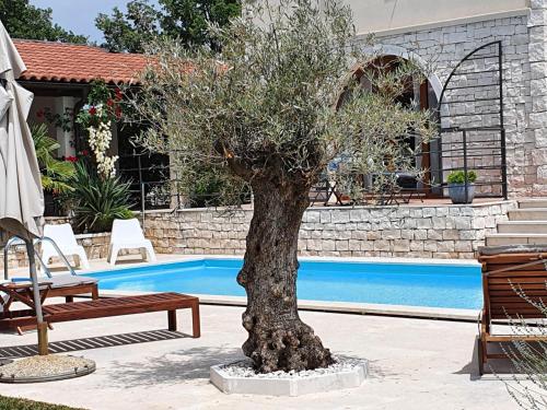 Hồ bơi trong/gần Charmante Villa Histra Mit Pool Und Großem Garten