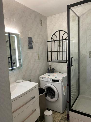 ein Badezimmer mit Waschmaschine und Waschbecken in der Unterkunft Appartement vue mer in La Guérinière