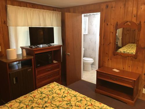 TV a/nebo společenská místnost v ubytování Doray Motel Lake George
