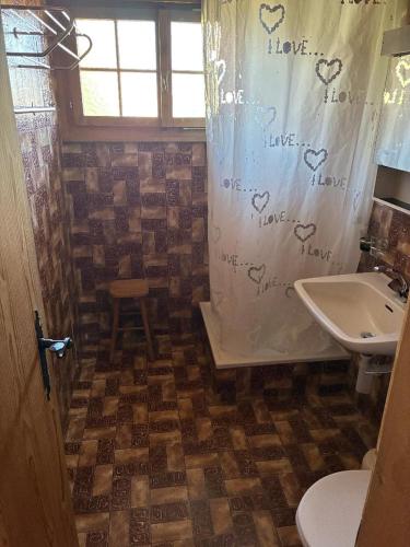 a bathroom with a shower curtain with hearts on it at Ferienwohnung Caziela 49 in Tschappina