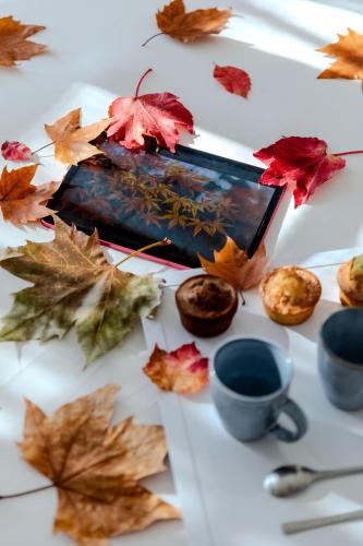a tablet on a table with autumn leaves on it at Hôtel La Villa Douce in Rayol-Canadel-sur-Mer