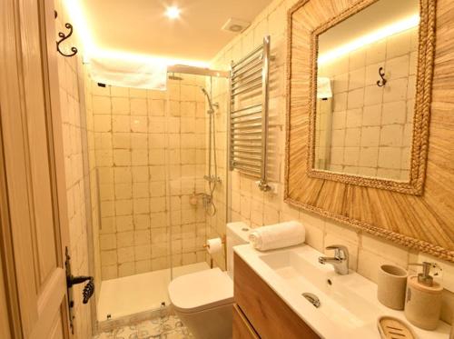 a bathroom with a sink and a toilet and a mirror at Aquí me quedo Catedral in Burgos