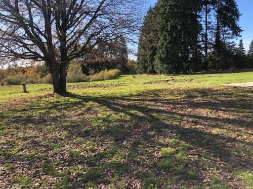 Zahrada ubytování Havre de paie en Sologne avec piscine