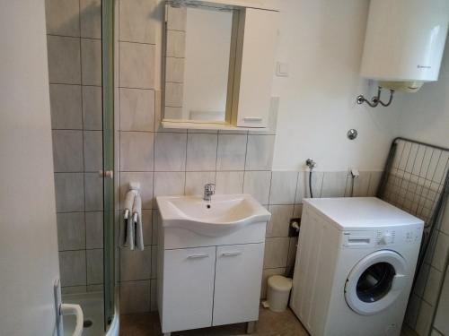 un bagno con lavandino e lavatrice di Apartment Buic a Pola (Pula)