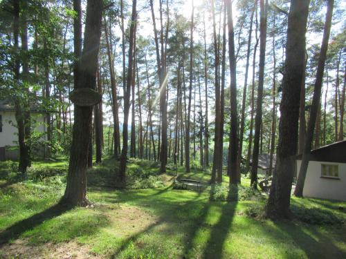 - une vue sur une forêt avec des arbres et une maison dans l'établissement Ferienhäuser Mit Pool In Ruhiger Lage Am Waldrand, à Niederaula