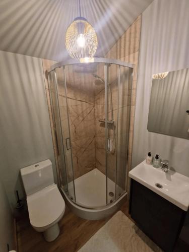 a bathroom with a shower and a toilet and a sink at Kubilasnamelis in Vigontiškiai