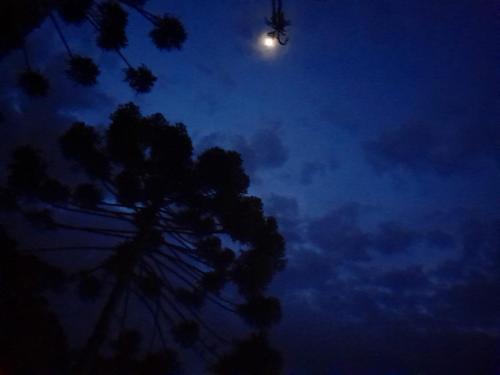 a moon in the sky with a tree in the foreground at Loft Campos a 12 minutos do centro turistico de Campos do Jordão in Campos do Jordão