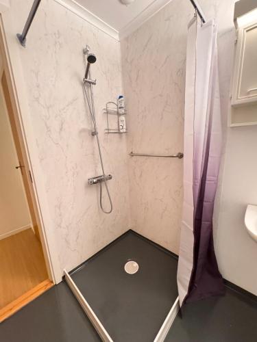 a bathroom with a shower and a sink at Two room warm apartment Östavall in Östavall
