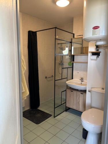 Un baño con ducha, inodoro y lavabo. en T2 Reallon gardette, en Réallon