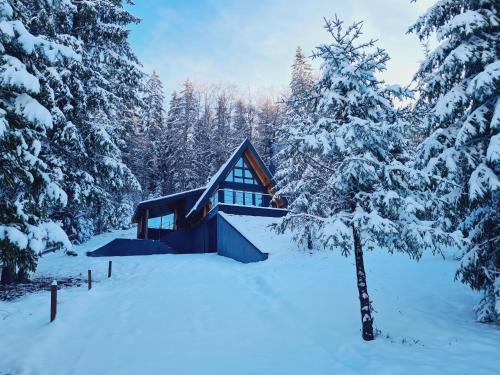 eine Hütte im Wald im Schnee in der Unterkunft Gorje Tara in Sekulić 