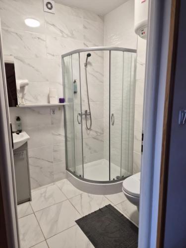 a bathroom with a shower and a toilet at Pensjonat Paskudy in Paskudy