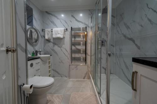 a bathroom with a shower with a toilet and a sink at Daybyday in North Woolwich