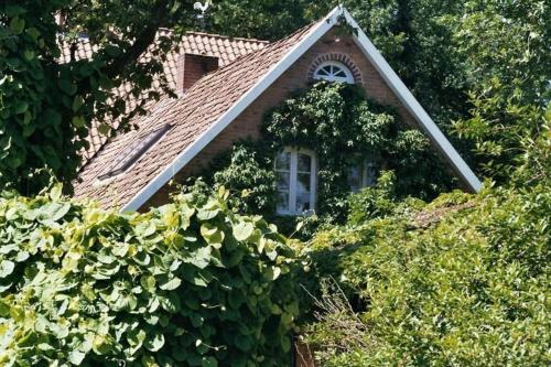 Κήπος έξω από το Ferienwohnung In Ehemaliger Dorfschule Am Dorfrand