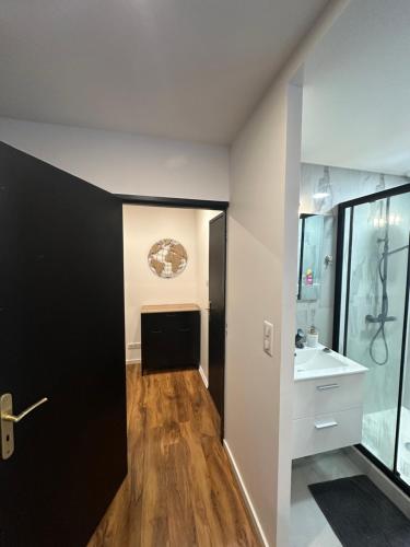 Un baño con un lavabo blanco y un espejo. en Djokovic Colmar, en Colmar