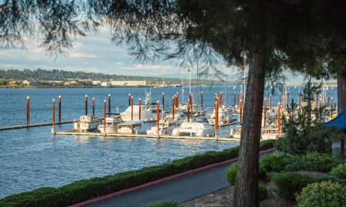 a bunch of boats are docked in the water at Holiday Inn Portland - Columbia Riverfront by IHG in Portland