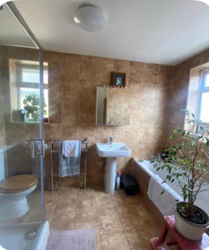 a bathroom with a toilet and a sink and a shower at Number 42 in Woodstock