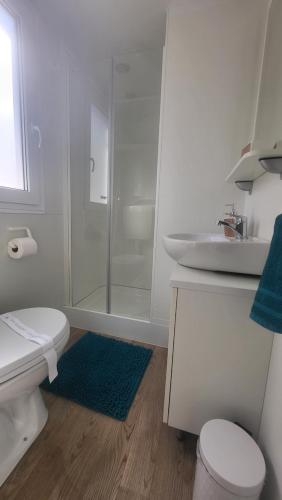 a bathroom with a shower and a toilet and a sink at #757 Status Relax No Stress in Biograd na Moru