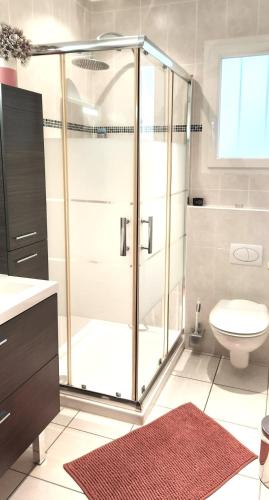 un bagno con doccia in vetro e WC di La Carrière a Pont-Saint-Martin