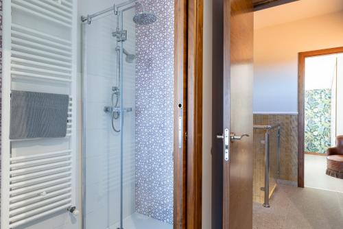une salle de bain avec une douche avec une porte vitrée dans l'établissement Villa Carolina Luxury Singular, à Basoñas