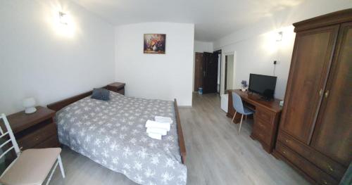 a bedroom with a bed and a desk and a television at Casa Bogdan in Uricani
