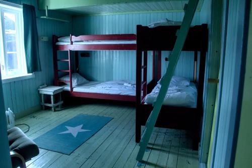 une chambre avec deux lits superposés et une échelle dans l'établissement Kræmmervika Rorbuer - Rustic Cabins & Hostel in Lofoten, à Ballstad