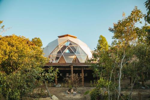 uma casa de vidro no meio das árvores em Capão Domo em Vale do Capao