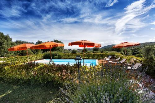 a swimming pool with umbrellas and chairs and a pool at Fattoria del Colle in Trequanda