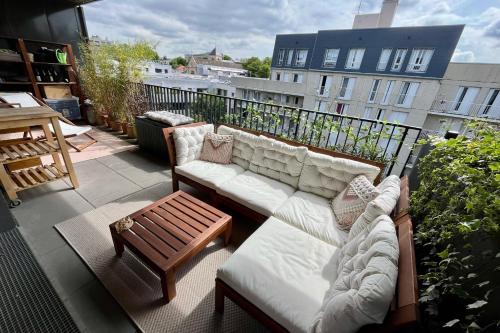 Beautiful apartment with big terrace near Paris