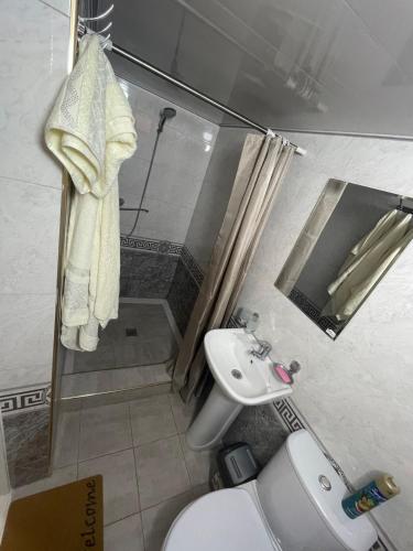 a bathroom with a shower and a toilet and a sink at Домик Zara in Samarkand