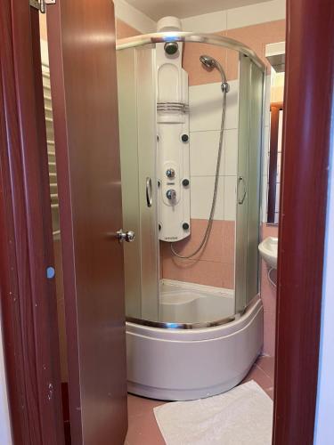 una ducha con puerta de cristal en un baño en Apartman Luka, en Niš