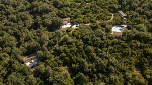 an aerial view of a house in the woods at il cannito in Capaccio-Paestum