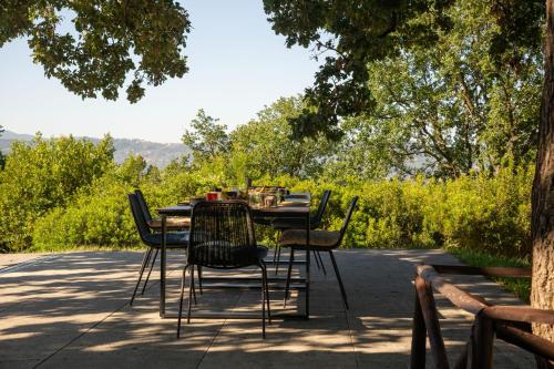 a table and chairs sitting in the shade of a tree at il cannito in Capaccio-Paestum
